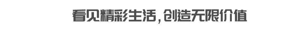 植物大战僵尸链游APP_植物大战僵尸打金版PVZ下载