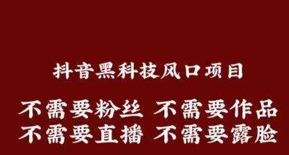 【支点科技】抖音*******能干什么？普通人用它怎么赚钱？一文告诉你！