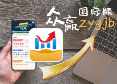 案例分析：众赢人工分析软件在投资中的应用