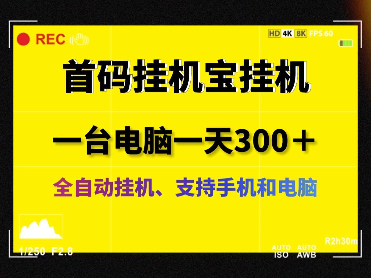 最新挂机宝全自动手机电脑挂机，支持手机和电脑无限挂机